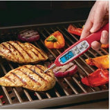 Taylor Grillworks Waterproof Digital BBQ Grill Thermometer Farenheit or Celsius